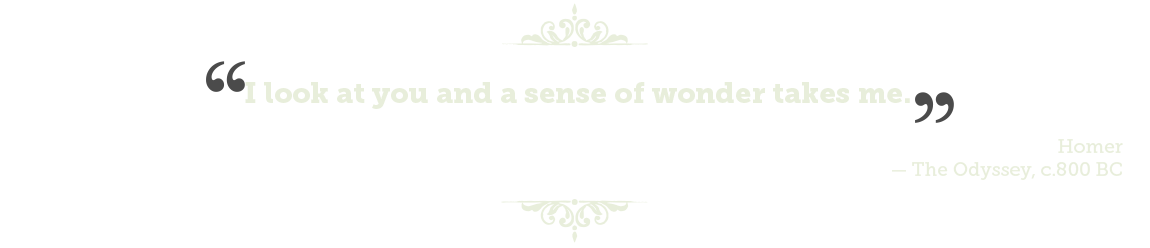 Vinaora Nivo Slider 3.x